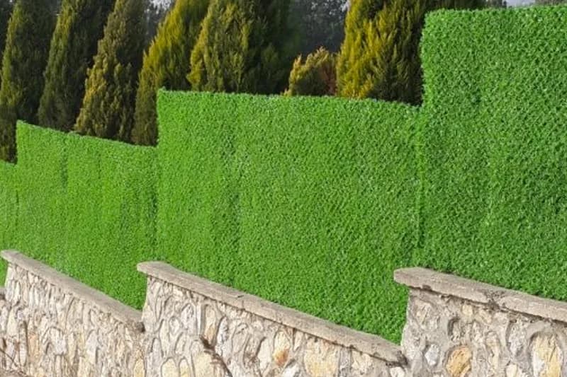 Çim Çit thumbnail 3