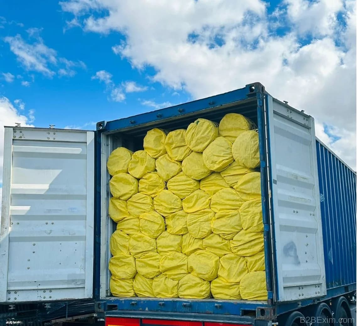 Çim Çit thumbnail 4