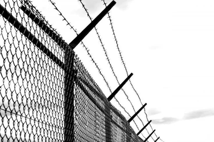 Barbed Wire thumbnail 2