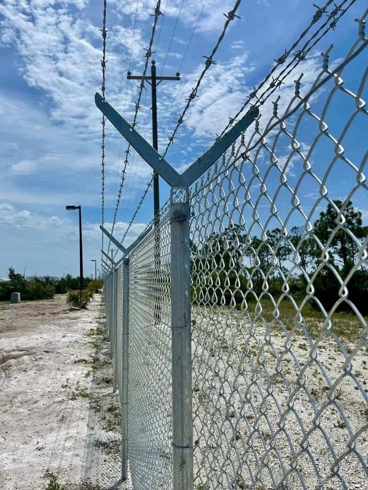 Barbed Wire thumbnail 3