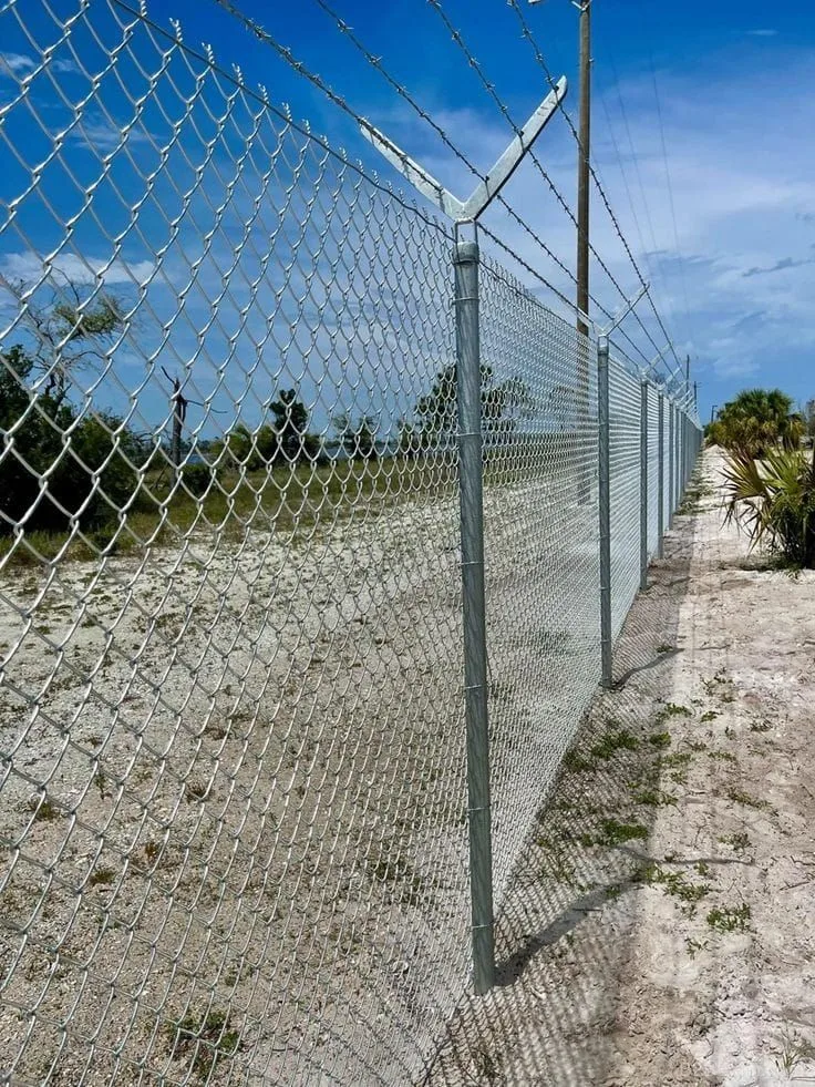 Barbed Wire thumbnail 4