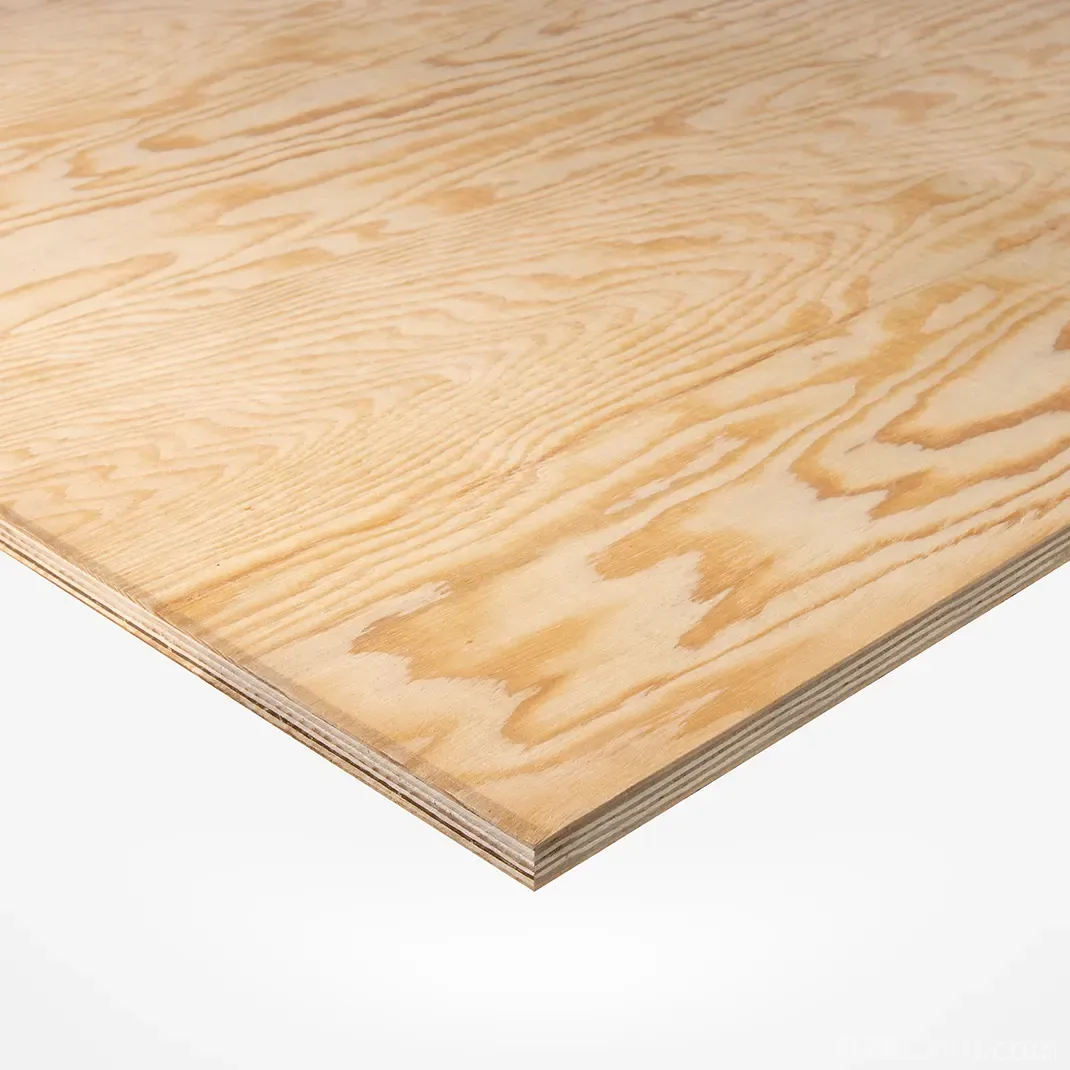 Pine Plywood thumbnail 2