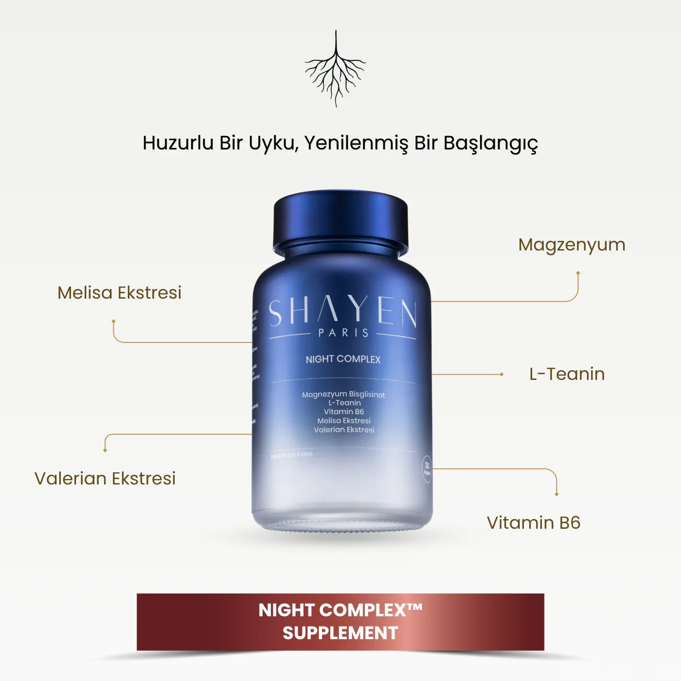 Sleep Night Complex Sleep Support Capsule