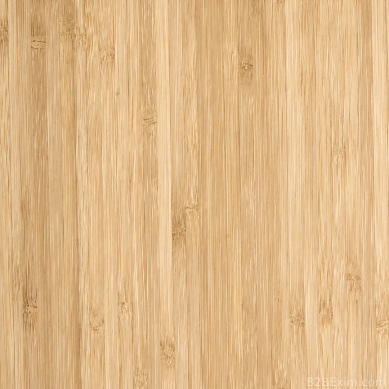 Bamboo Veneers thumbnail 2